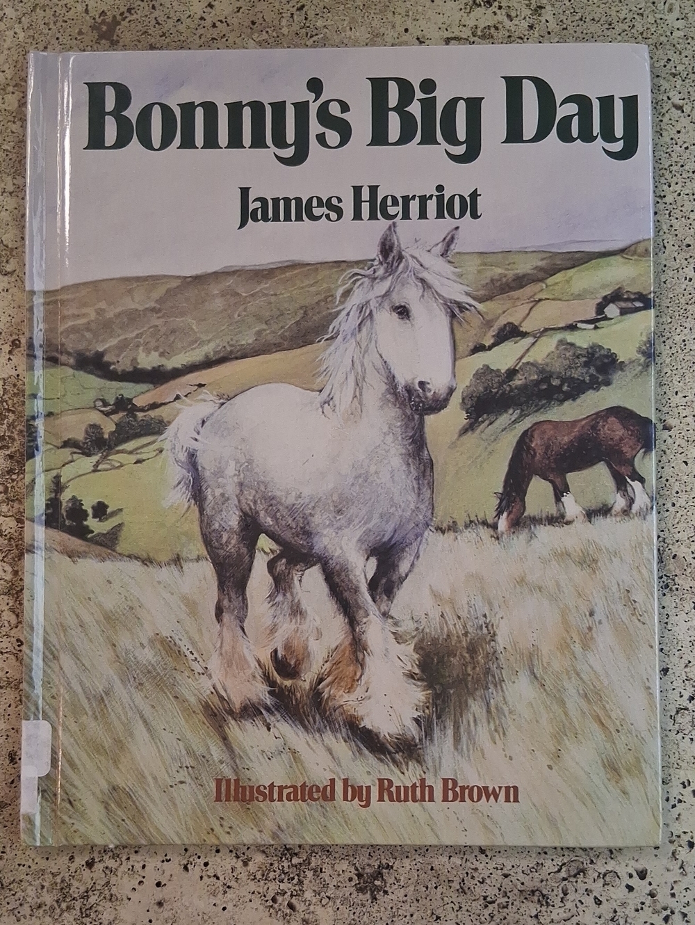 Bonnys Big Day By James Herriot Childrens Picture Book